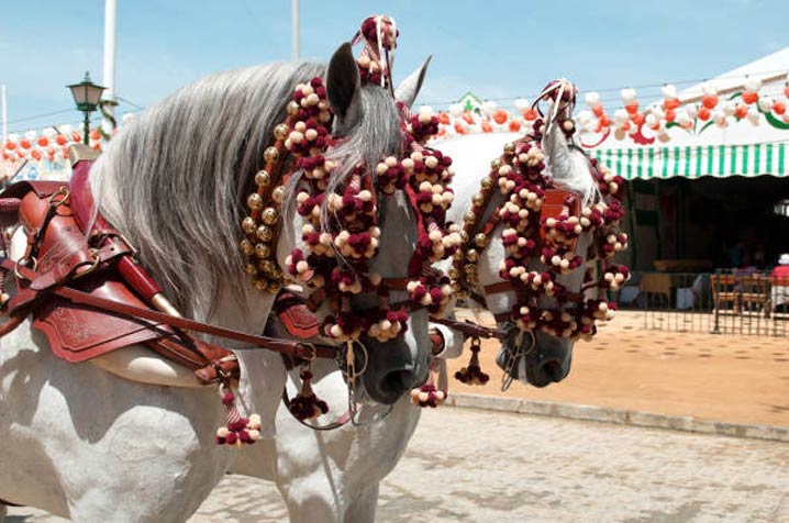 horses-in-feria-de-sevilla-2024