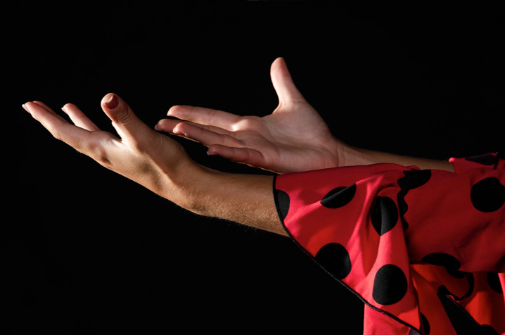 flamenco-show-in-seville-spain