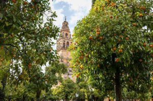 day-trips-from-seville