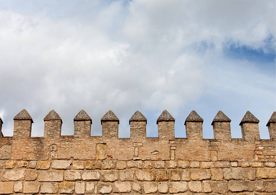 Wall of the Alcázar in Seville