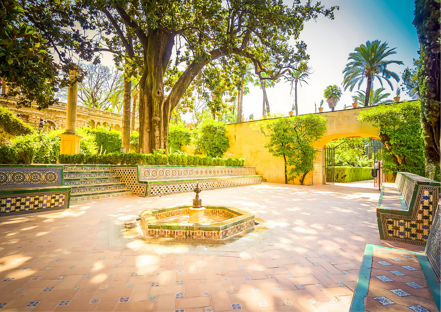 Quiet area of the alcázar with the traditional ceramic tiles.