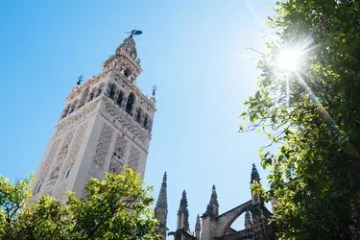 A tall, ornate tower against a clear blue sky, with the sun shining through tree leaves.